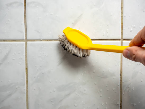 Attic Mold Removal in Modesto, CA