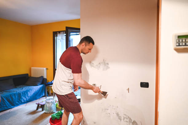 Professional Mold Removal in Modesto, CA