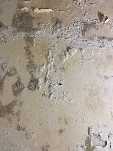 Crawl Space Mold Removal in Modesto, CA